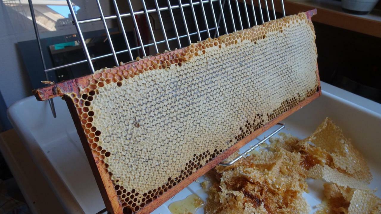 Pensjonat La Miellerie Huppaye Zewnętrze zdjęcie